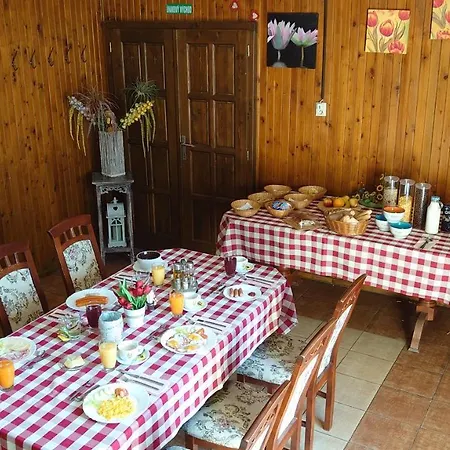 & Bar Natali בית הארחה 3*